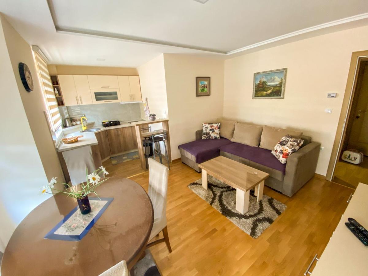 Apartman Bozur Zlatibor Kültér fotó